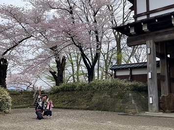 4/23 散り始め。まつり最終日。皆様のご来園をお猿さんとお待ちしております!